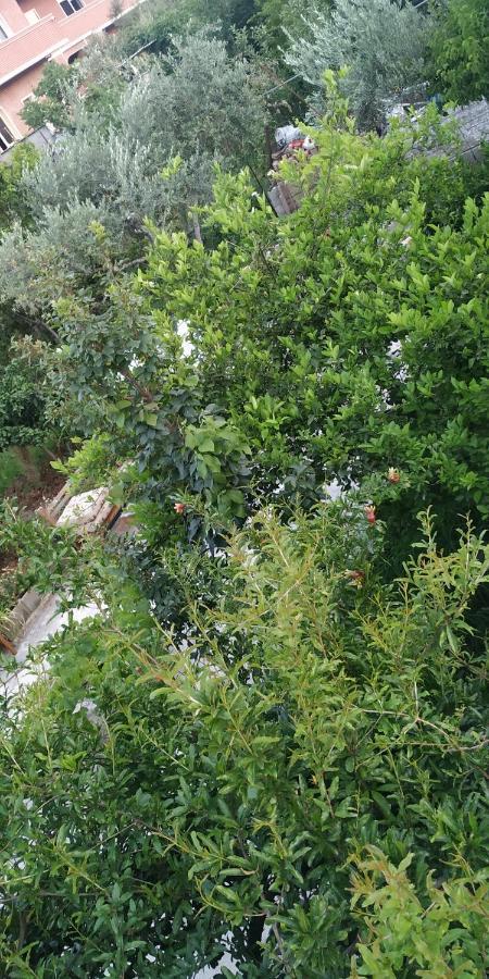 Spacious House With A Big Garden And Fire Pit Tirana