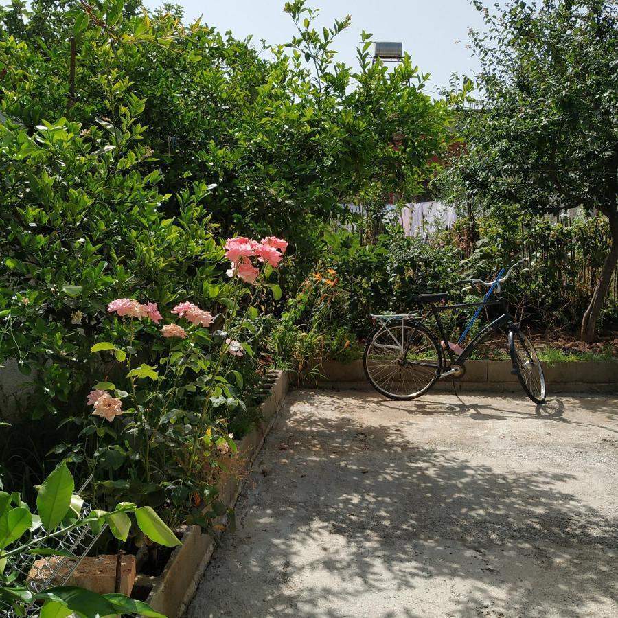 Spacious House With A Big Garden And Fire Pit Сasa de vacaciones Tirana