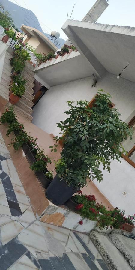 Сasa de vacaciones Spacious House With A Big Garden And Fire Pit Tirana