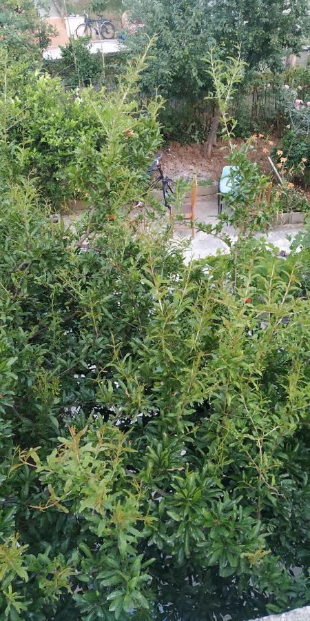 Spacious House With A Big Garden And Fire Pit Tirana